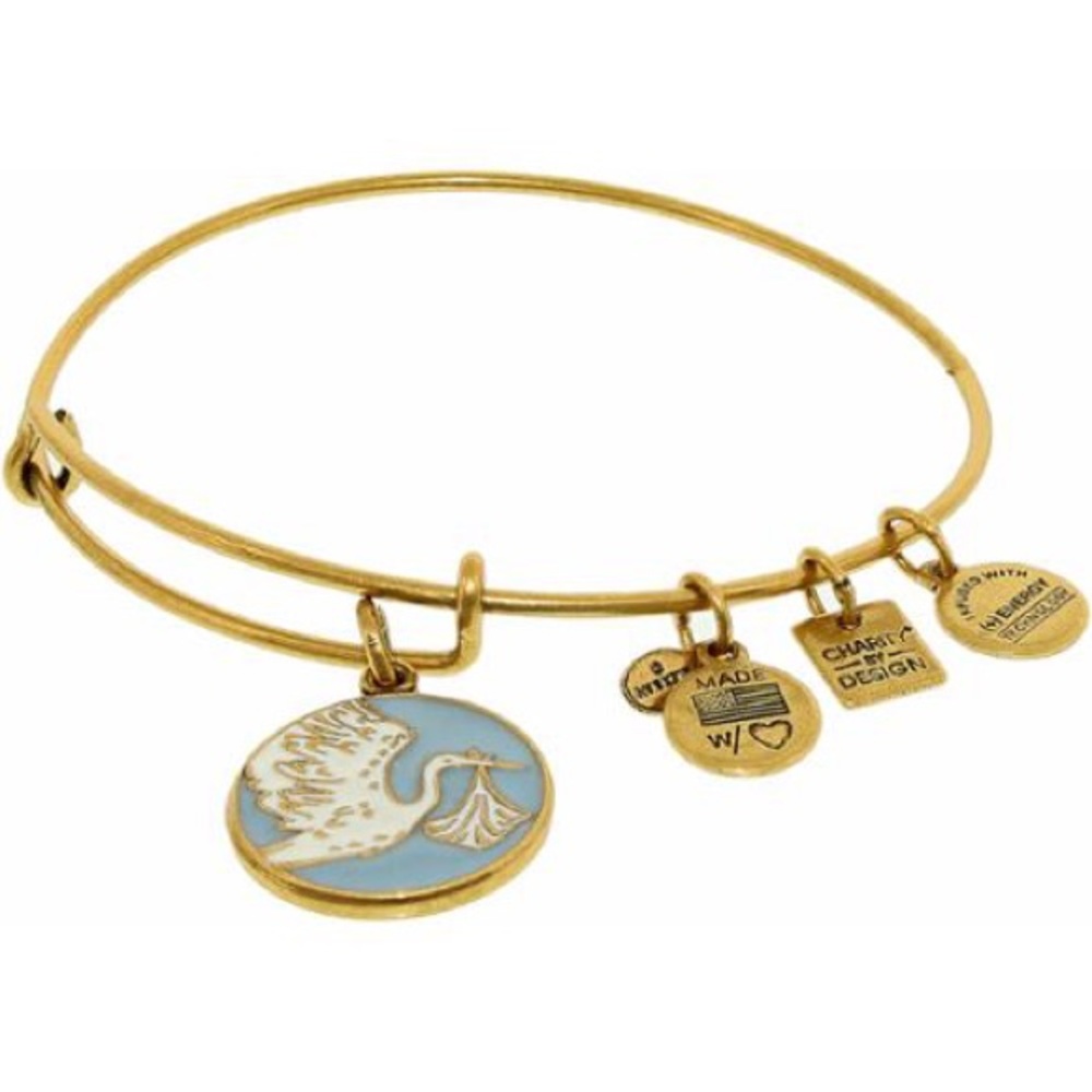 Alex and Ani “Special Delivery” Bracelet